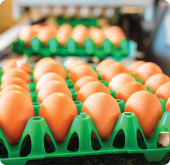 Bandeja Portahuevos Calada